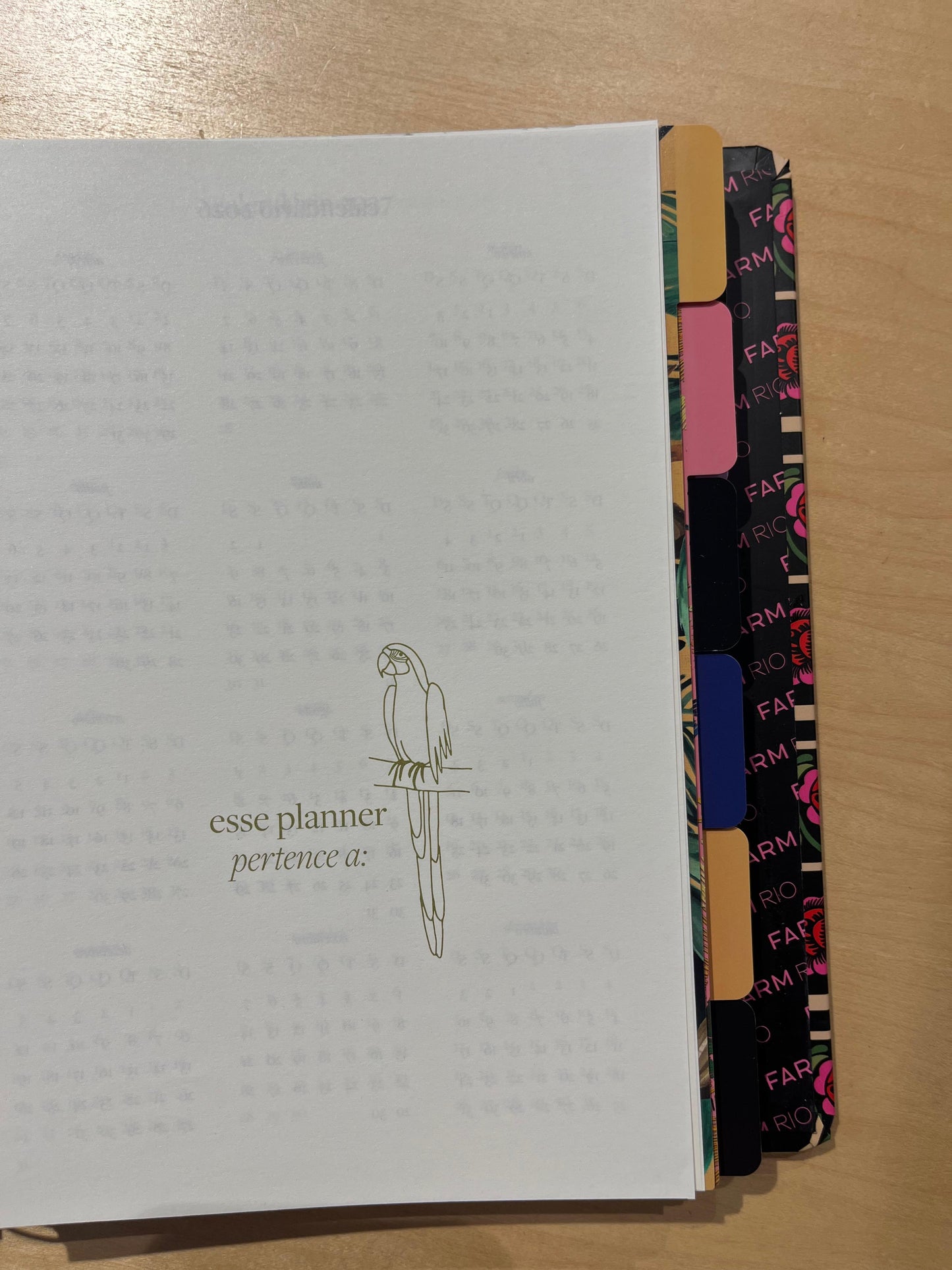 Planner Farm Voo Descoladinha
