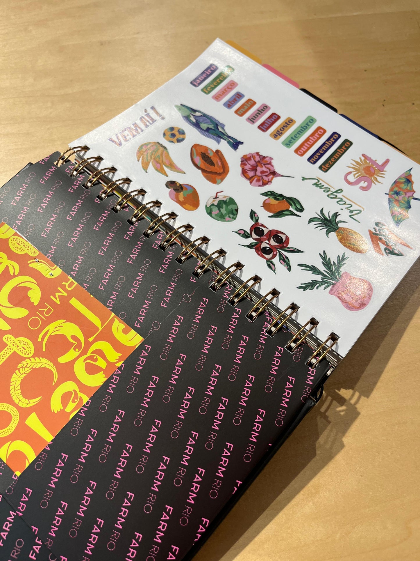 Planner Farm Voo Descoladinha