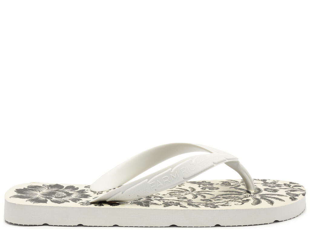 Chinelo Farm Rainbow Banana