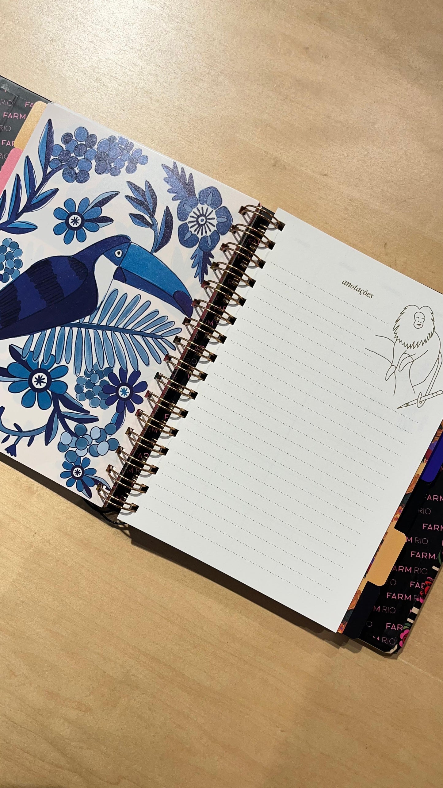 Planner Farm Voo Descoladinha