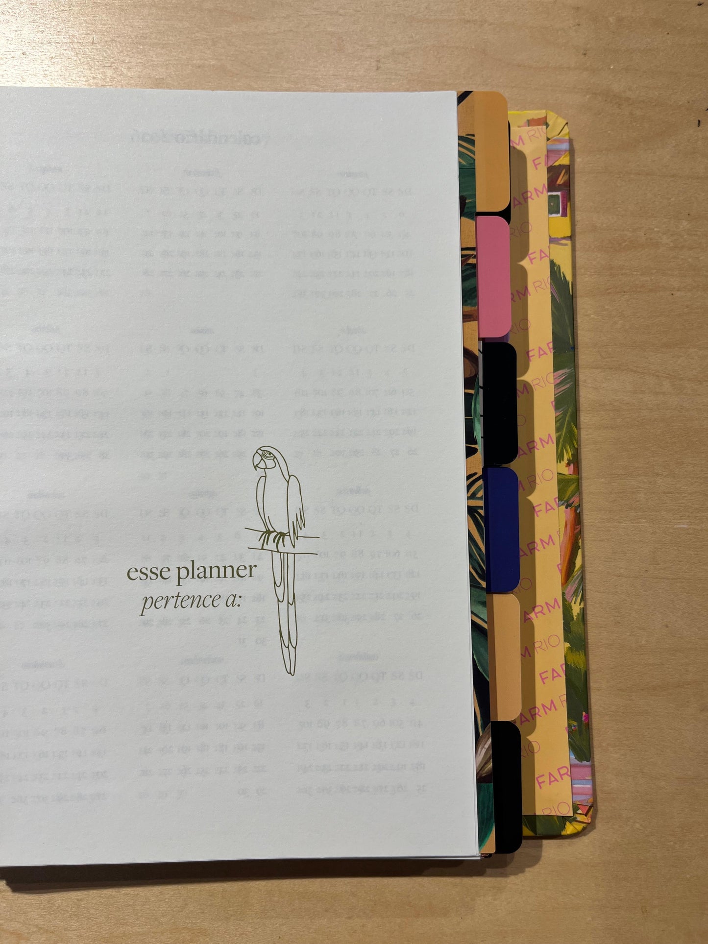 Planner Farm Memórias de Verão