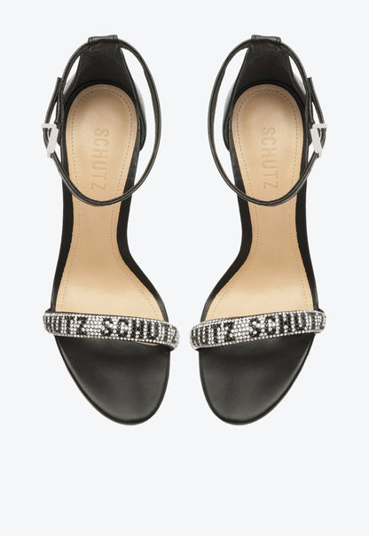 Salto Schutz Logo Pedraria