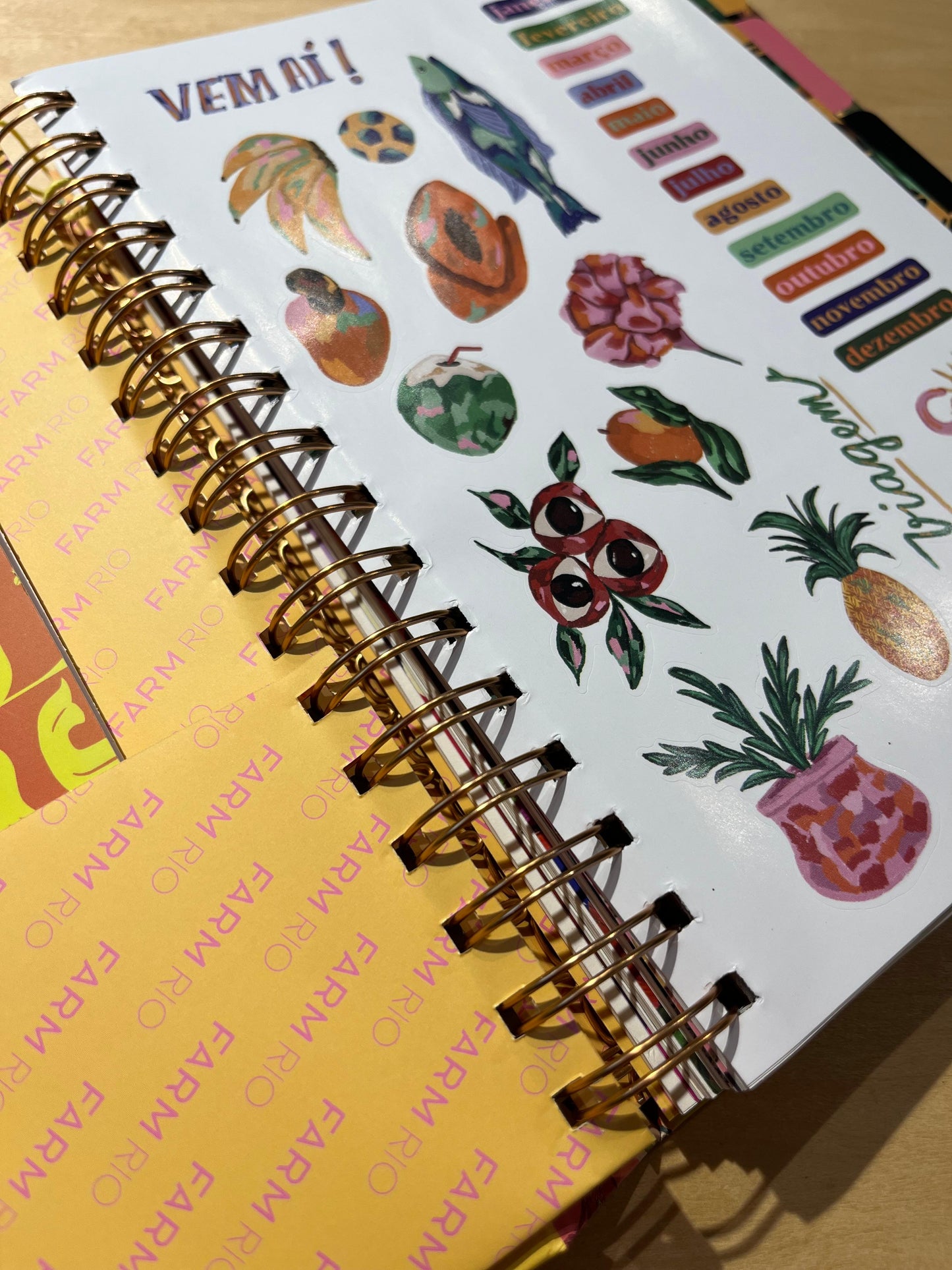 Planner Farm Memórias de Verão